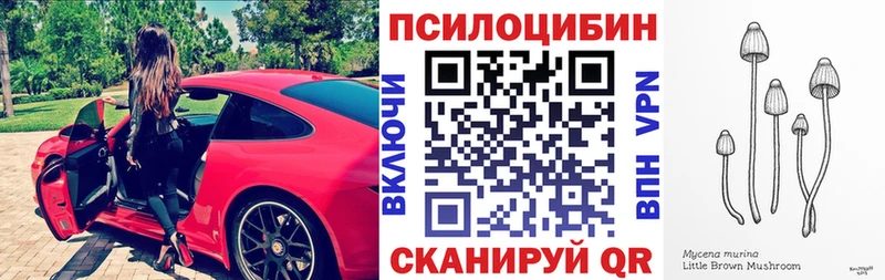 Псилоцибиновые грибы Psilocybine cubensis  Таруса 